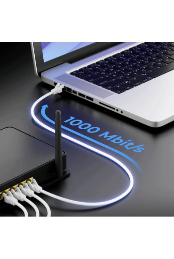 CABLE RESEAU NCTS FTP CAT 6 SURMOULÉ (2.0 m)