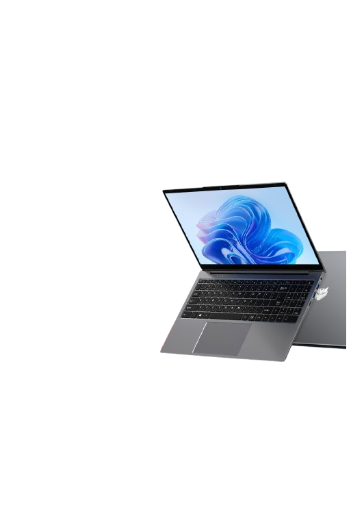 MAXBOOK X15 P