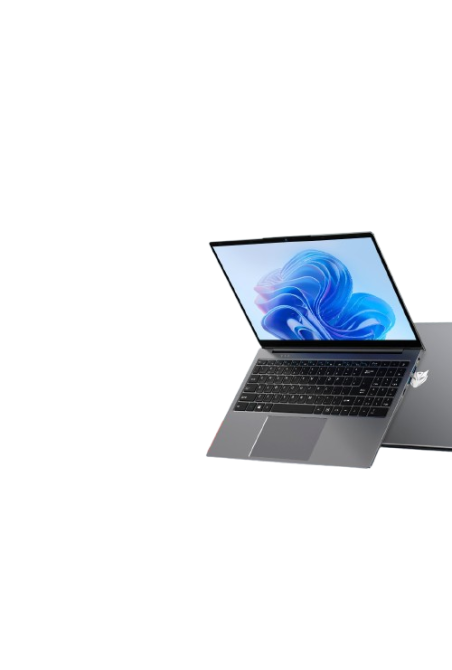 MAXBOOK X15 P